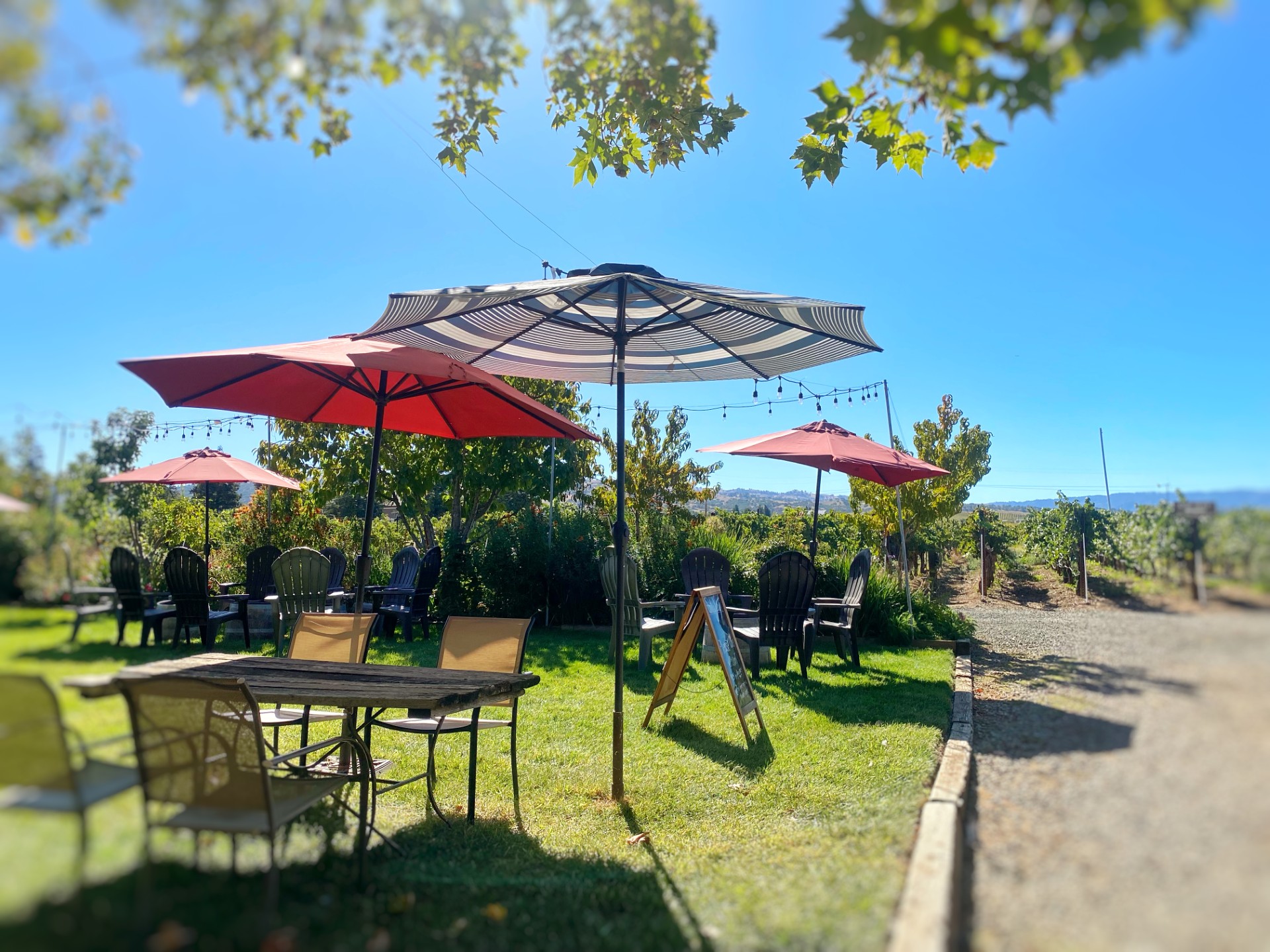 BoaVentura de Caires Winery